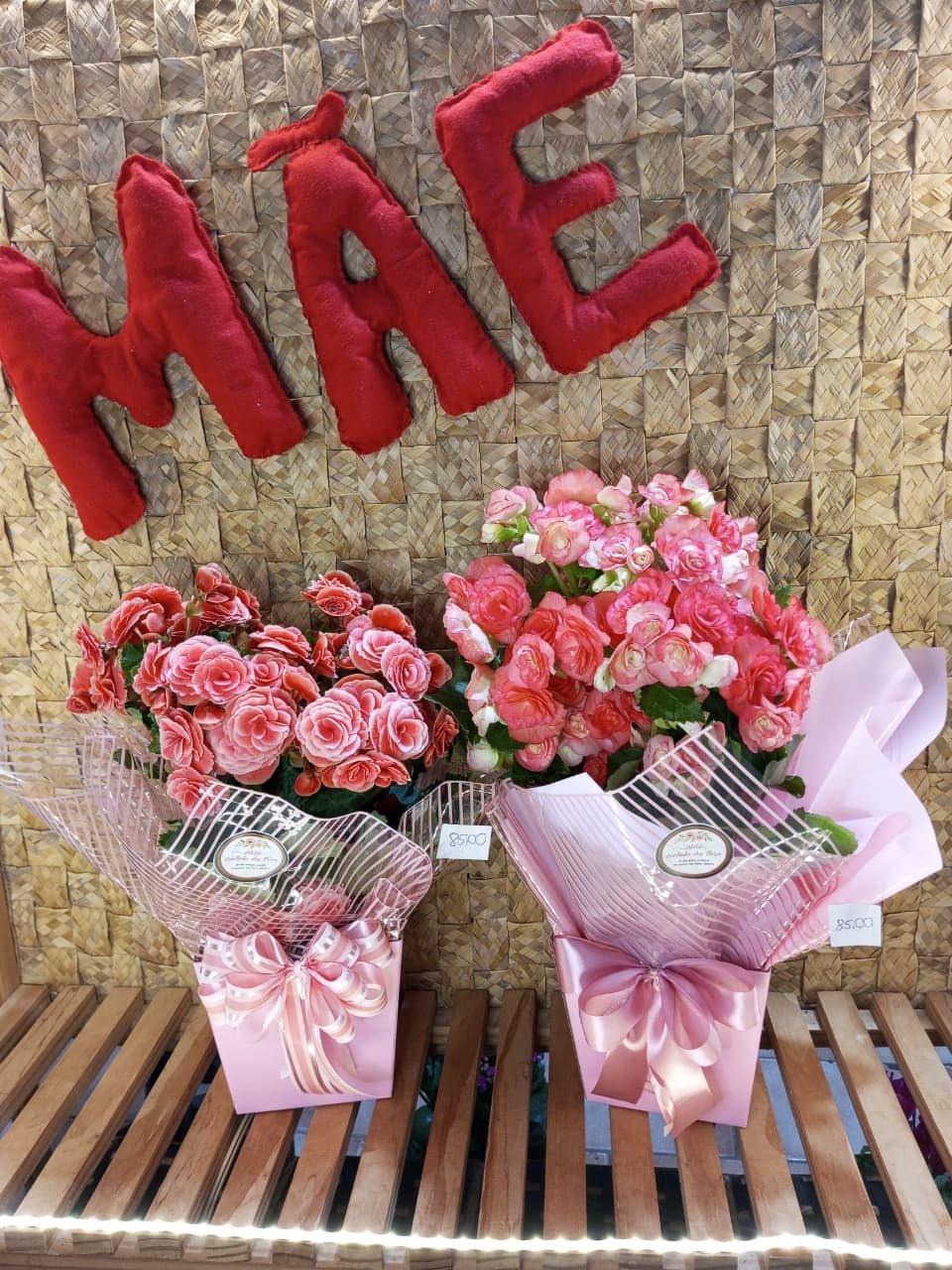 FLOR BEGONIA